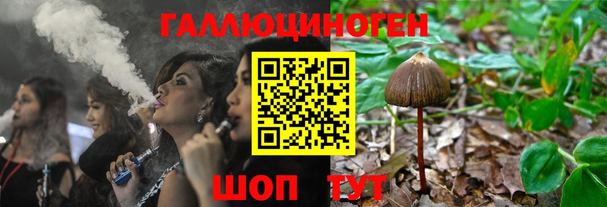 Псилоцибиновые грибы MAGIC MUSHROOMS  Вход с VPN  Чебаркуль 
